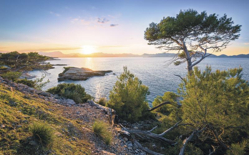 Sydlig Lys - Komar Fototapet til Naturlig Indretning