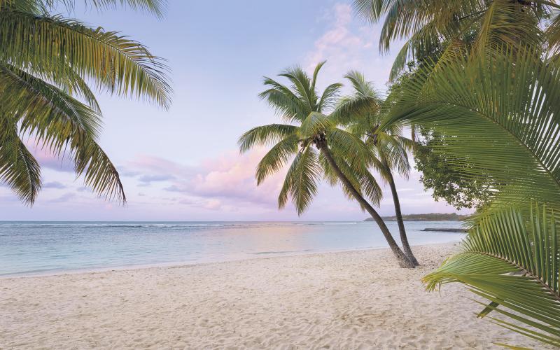 Paradise Morning - Komar Tapet