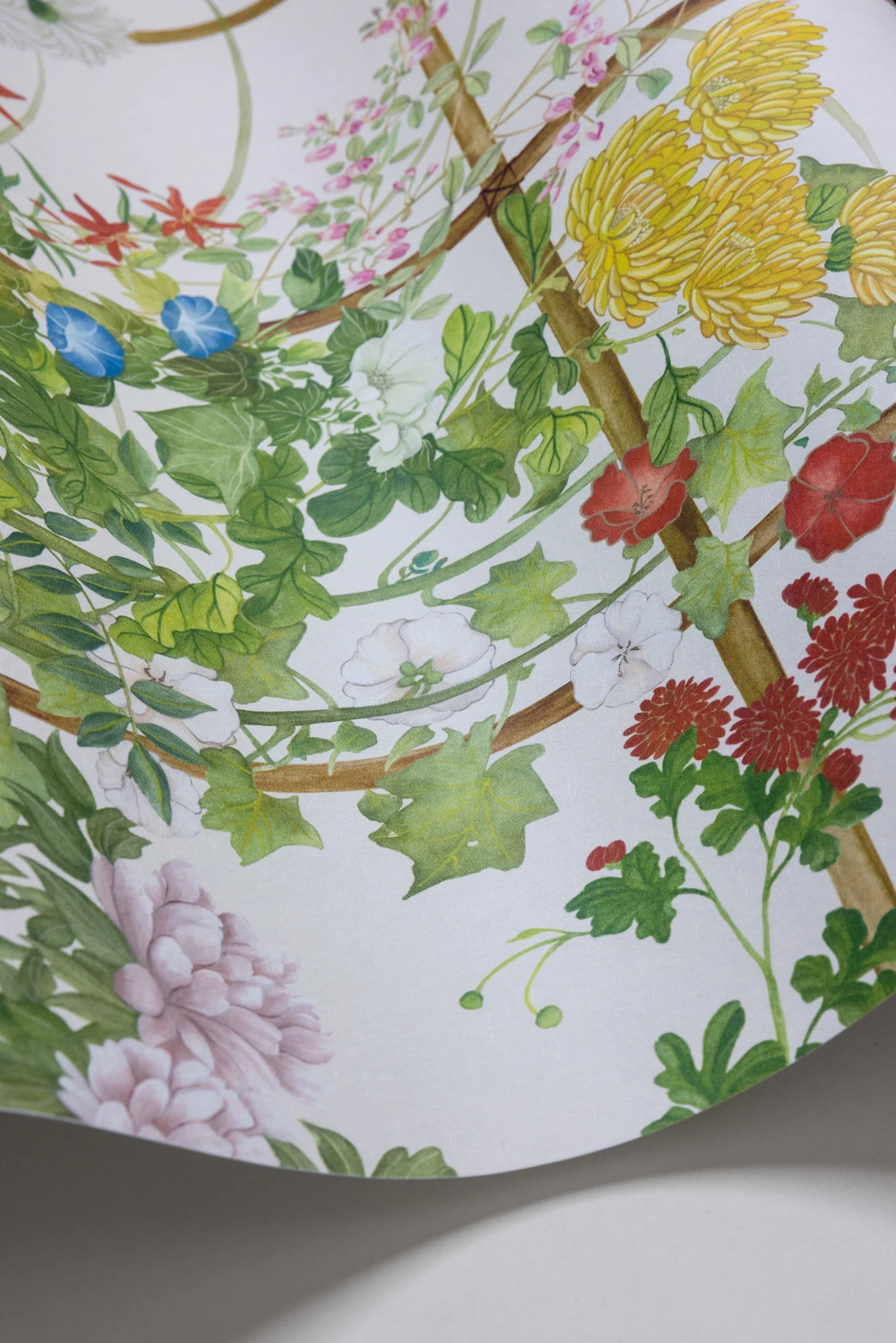 Hvid Scenic Flora Natural White - Cole And Son Tapet  - 5055496046624